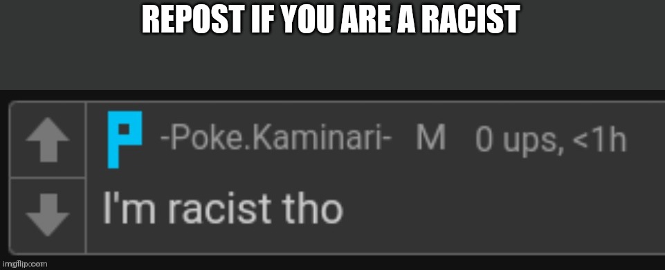 I love racing cars | REPOST IF YOU ARE A RACIST | image tagged in poke is racist | made w/ Imgflip meme maker