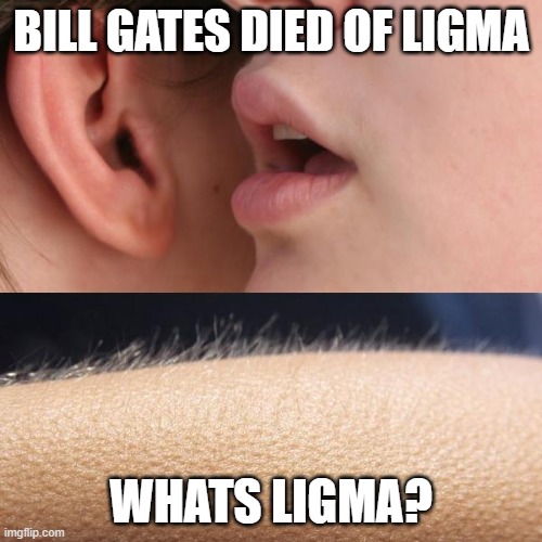 Whisper and Goosebumps | BILL GATES DIED OF LIGMA; WHATS LIGMA? | image tagged in whisper and goosebumps | made w/ Imgflip meme maker