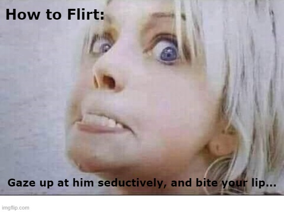 How To Flirt | How to Flirt:; Gaze up at him seductively, and bite your lip... | image tagged in gaze,bite lip | made w/ Imgflip meme maker