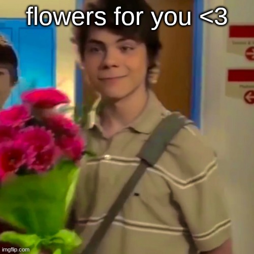 flowers | flowers for you <3 | image tagged in flowers | made w/ Imgflip meme maker
