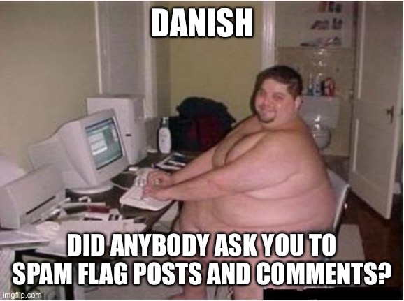 Ik the “didn’t ask” meme doesn’t really work but it’s not stopping there | DANISH; DID ANYBODY ASK YOU TO SPAM FLAG POSTS AND COMMENTS? | image tagged in really fat guy on computer | made w/ Imgflip meme maker