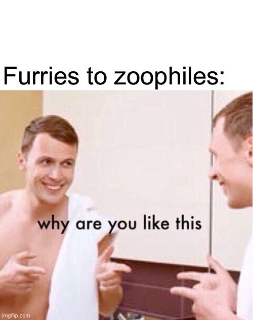Am I joking?  Am I??? | Furries to zoophiles: | image tagged in why are you like this | made w/ Imgflip meme maker