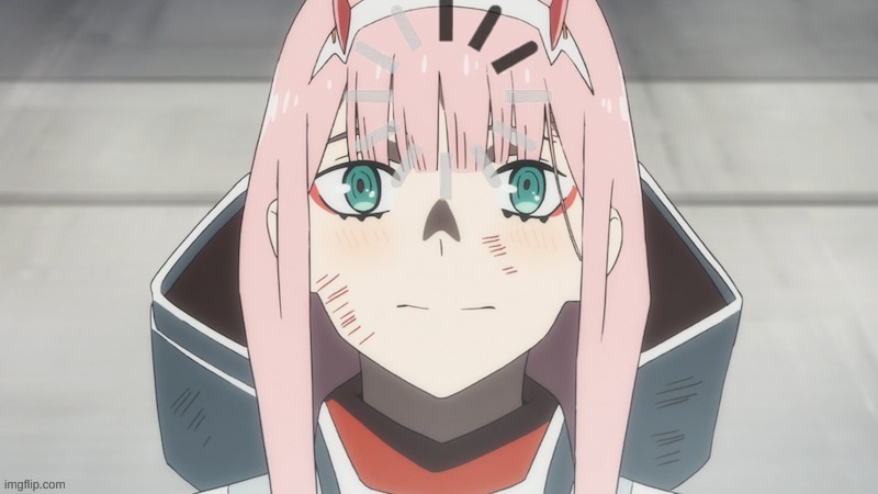 confused zero two | image tagged in confused zero two | made w/ Imgflip meme maker