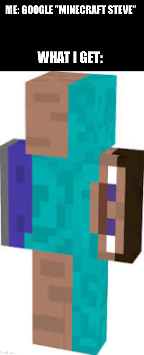 Steve?! What have happen to you? | ME: GOOGLE ”MINECRAFT STEVE”; WHAT I GET: | image tagged in gaming,minecraft | made w/ Imgflip meme maker