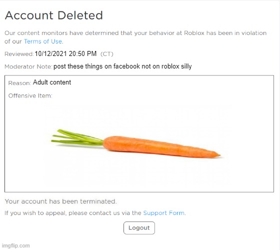 LOL i got banned by a carrot | 10/12/2021 20:50 PM; post these things on facebook not on roblox silly; Adult content | image tagged in banned from roblox 2021 edition | made w/ Imgflip meme maker