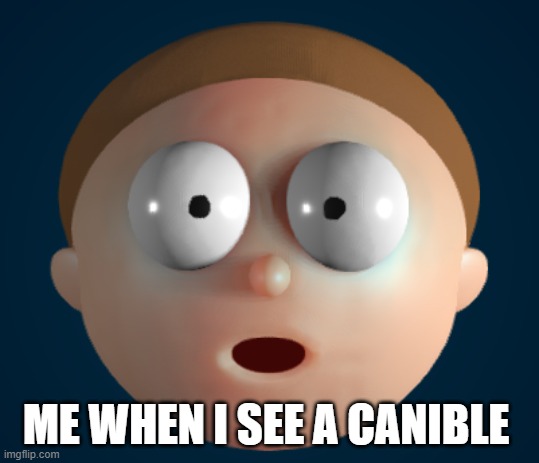 oh shi- | ME WHEN I SEE A CANIBLE | image tagged in morty shocked | made w/ Imgflip meme maker