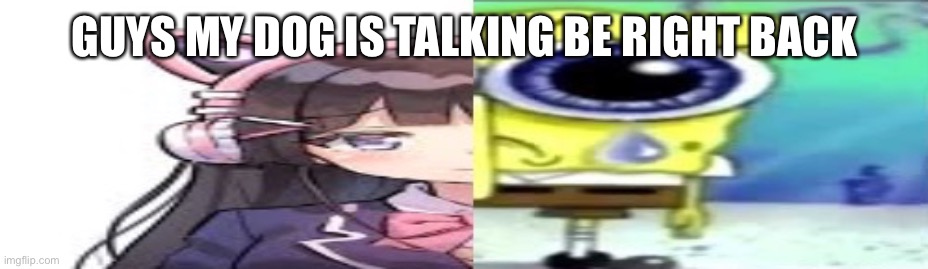 lol | GUYS MY DOG IS TALKING BE RIGHT BACK | image tagged in lol | made w/ Imgflip meme maker