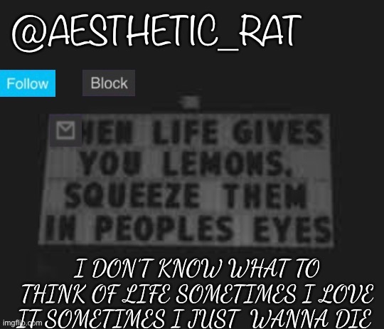 Aesthetic_Rat | I DON’T KNOW WHAT TO THINK OF LIFE SOMETIMES I LOVE IT SOMETIMES I JUST  WANNA DIE | image tagged in aesthetic_rat | made w/ Imgflip meme maker