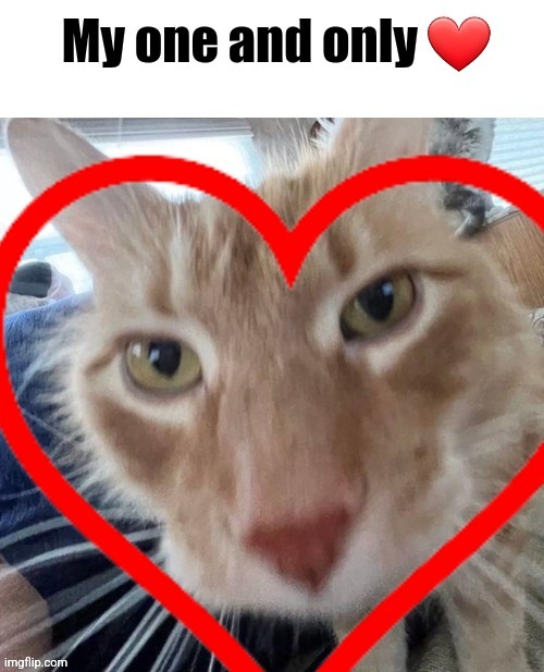 Edit | made w/ Imgflip meme maker