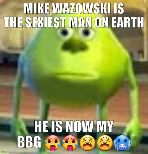 Sully Wazowski | MIKE WAZOWSKI IS THE SEXIEST MAN ON EARTH; HE IS NOW MY BBG 🥵🥵😫😫🥶 | image tagged in sully wazowski | made w/ Imgflip meme maker