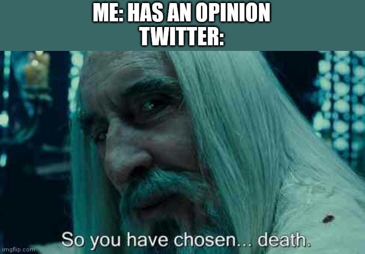 So you have chosen death | ME: HAS AN OPINION
TWITTER: | image tagged in so you have chosen death | made w/ Imgflip meme maker