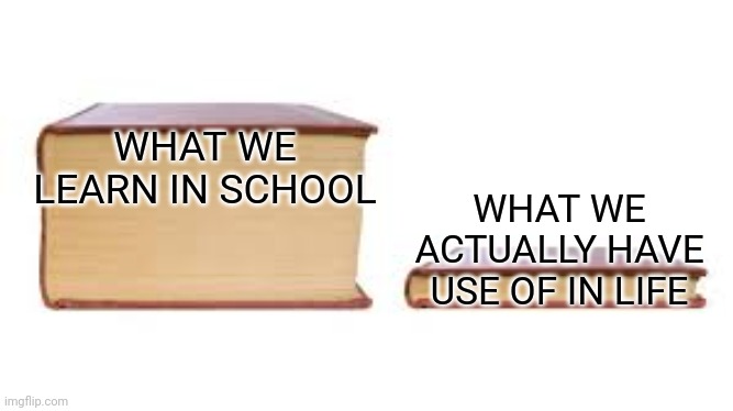 Big book small book | WHAT WE LEARN IN SCHOOL; WHAT WE ACTUALLY HAVE USE OF IN LIFE | image tagged in big book small book,memes,school,funny | made w/ Imgflip meme maker