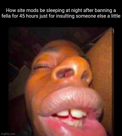black dude sleeping | How site mods be sleeping at night after banning a fella for 45 hours just for insulting someone else a little | image tagged in black dude sleeping | made w/ Imgflip meme maker