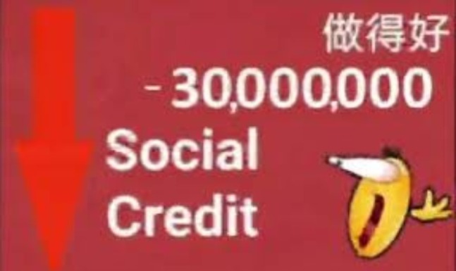 social credit | image tagged in social credit | made w/ Imgflip meme maker