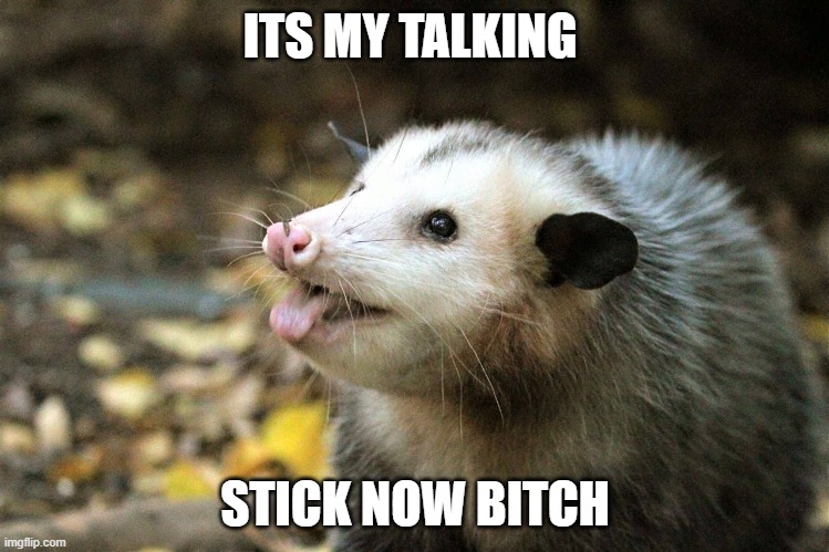 talking stick | ITS MY TALKING; STICK NOW BITCH | image tagged in possum | made w/ Imgflip meme maker