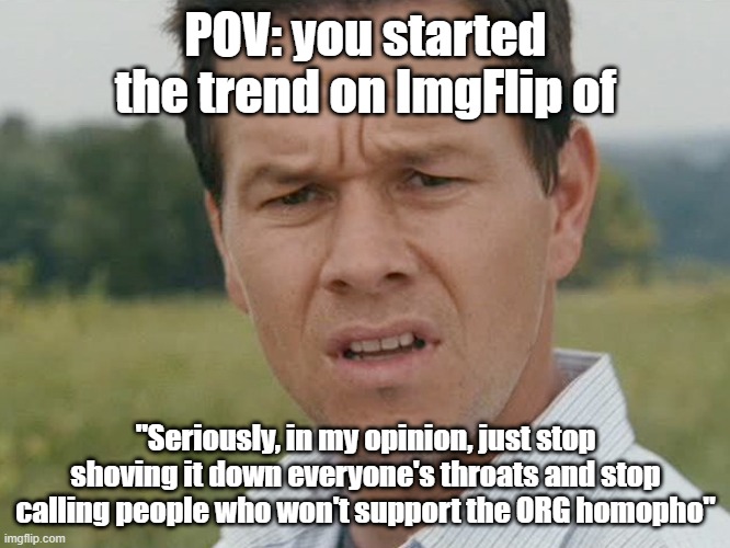 The actual heck, who knew a title would start a trend here (linked thing in comments) | POV: you started the trend on ImgFlip of; "Seriously, in my opinion, just stop shoving it down everyone's throats and stop calling people who won't support the ORG homopho" | image tagged in huh | made w/ Imgflip meme maker