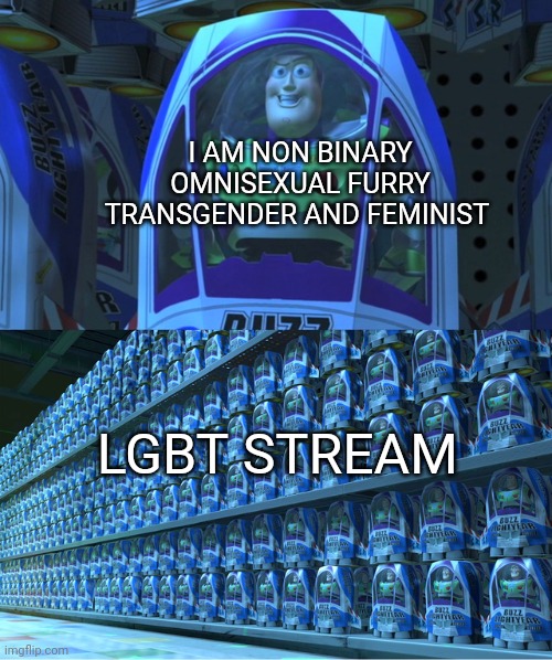 Buzz lightyear clones | I AM NON BINARY OMNISEXUAL FURRY TRANSGENDER AND FEMINIST; LGBT STREAM | image tagged in buzz lightyear clones | made w/ Imgflip meme maker