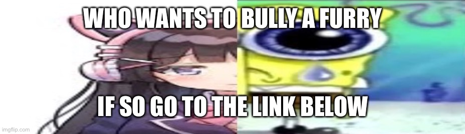 lol | WHO WANTS TO BULLY A FURRY; IF SO GO TO THE LINK BELOW | image tagged in lol | made w/ Imgflip meme maker