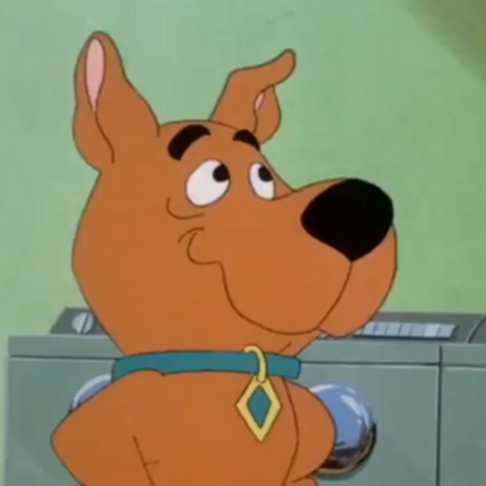 High Quality Scrappy Doo Discovers Blank Meme Template