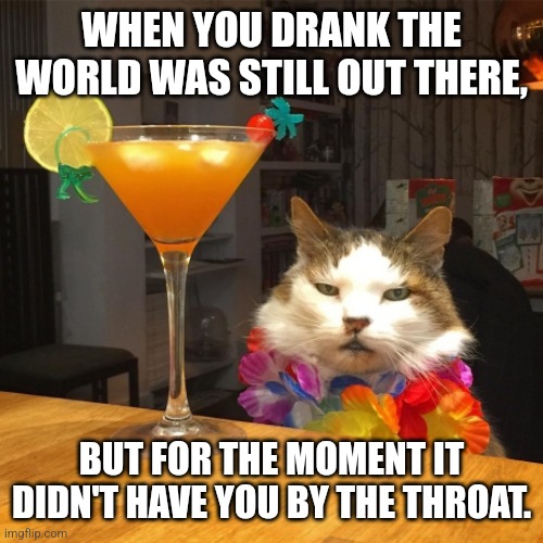 Bukowski Cat | WHEN YOU DRANK THE WORLD WAS STILL OUT THERE, BUT FOR THE MOMENT IT DIDN'T HAVE YOU BY THE THROAT. | image tagged in cat cocktail,kitty,drinking,drunk,escape,life problems | made w/ Imgflip meme maker