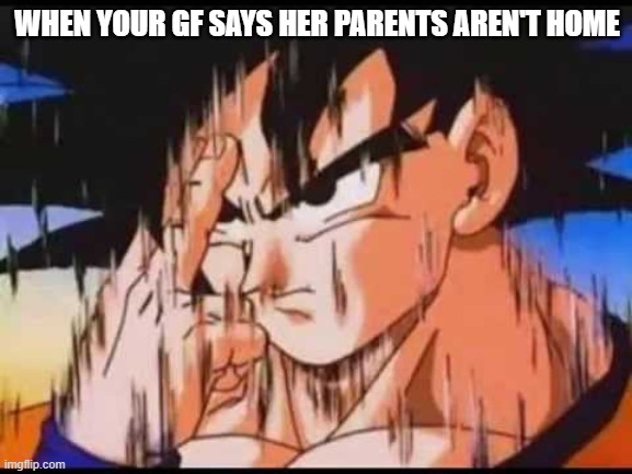 GF |  WHEN YOUR GF SAYS HER PARENTS AREN'T HOME | image tagged in teleport | made w/ Imgflip meme maker