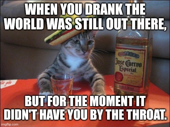 Bukowski cat | WHEN YOU DRANK THE WORLD WAS STILL OUT THERE, BUT FOR THE MOMENT IT DIDN'T HAVE YOU BY THE THROAT. | image tagged in drunk cat,tequila,tequila cat,life advice,drinking,antisocial | made w/ Imgflip meme maker