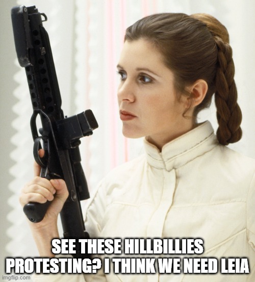 FreeDumb Convoy |  SEE THESE HILLBILLIES PROTESTING? I THINK WE NEED LEIA | image tagged in humor | made w/ Imgflip meme maker