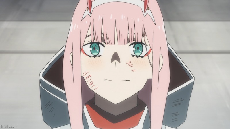 zero two | image tagged in zero two | made w/ Imgflip meme maker