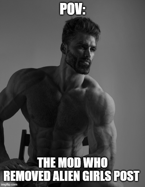 Thanks fam | POV:; THE MOD WHO REMOVED ALIEN GIRLS POST | image tagged in giga chad | made w/ Imgflip meme maker