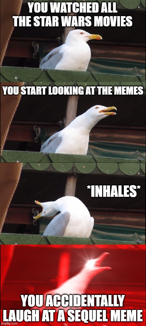 Inhaling Seagull | YOU WATCHED ALL THE STAR WARS MOVIES; YOU START LOOKING AT THE MEMES; *INHALES*; YOU ACCIDENTALLY LAUGH AT A SEQUEL MEME | image tagged in memes,inhaling seagull | made w/ Imgflip meme maker