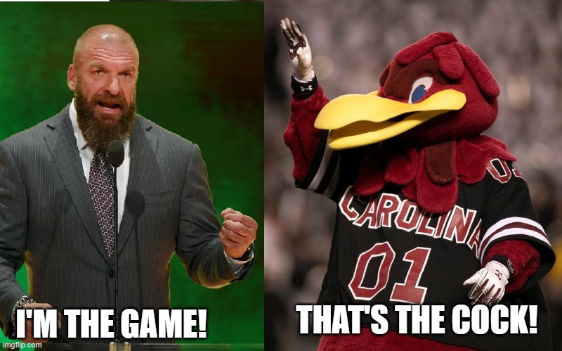 Gamecock joke from 2006 | THAT'S THE COCK! I'M THE GAME! | image tagged in cock rooster,triple h,south carolina | made w/ Imgflip meme maker