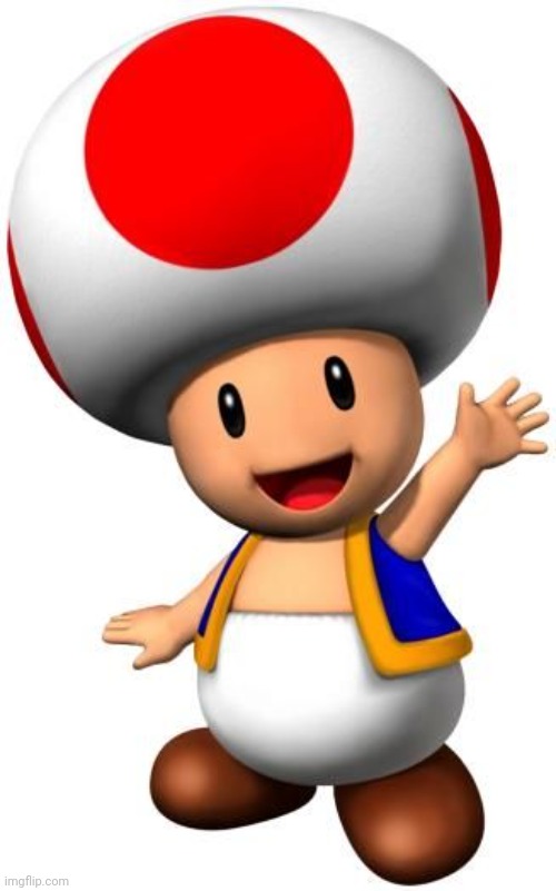 i wanna fuck toad | image tagged in toad | made w/ Imgflip meme maker