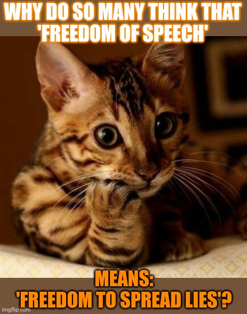 This lolcat wonders if people should be free to spread lies | WHY DO SO MANY THINK THAT
'FREEDOM OF SPEECH'; MEANS:
'FREEDOM TO SPREAD LIES'? | image tagged in lolcats,free speech,lies,first amendment,think about it | made w/ Imgflip meme maker