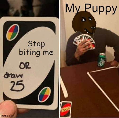 My dog likes biting | My Puppy; Stop biting me | image tagged in memes,uno draw 25 cards,dog,dogs,puppies,puppy | made w/ Imgflip meme maker