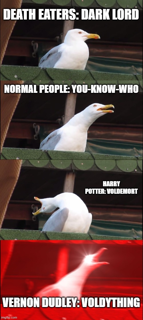 Voldy | DEATH EATERS: DARK LORD; NORMAL PEOPLE: YOU-KNOW-WHO; HARRY POTTER: VOLDEMORT; VERNON DUDLEY: VOLDYTHING | image tagged in memes,inhaling seagull,voldemort | made w/ Imgflip meme maker