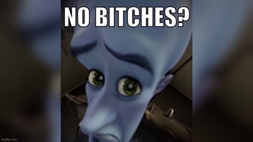 No bitches? | image tagged in no bitches | made w/ Imgflip meme maker