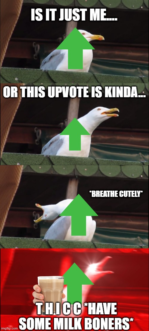 Inhaling Seagull Meme - Imgflip