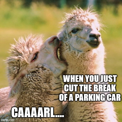 Lama Whisper | WHEN YOU JUST CUT THE BREAK OF A PARKING CAR; CAAAARL.... | image tagged in lama whisper | made w/ Imgflip meme maker