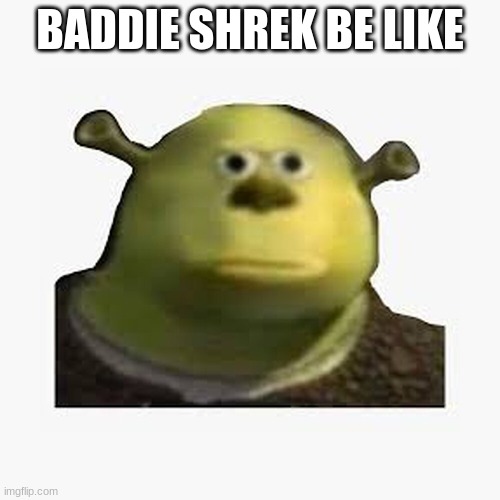 shreked | BADDIE SHREK BE LIKE | image tagged in memes | made w/ Imgflip meme maker