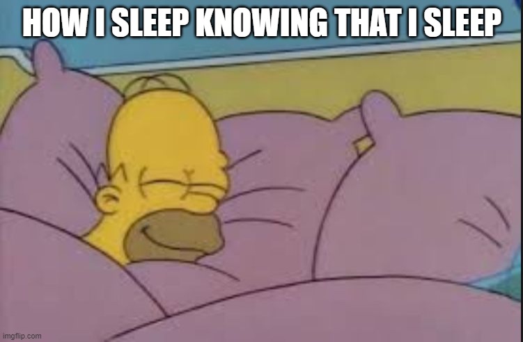 how i sleep homer simpson |  HOW I SLEEP KNOWING THAT I SLEEP | image tagged in how i sleep homer simpson | made w/ Imgflip meme maker