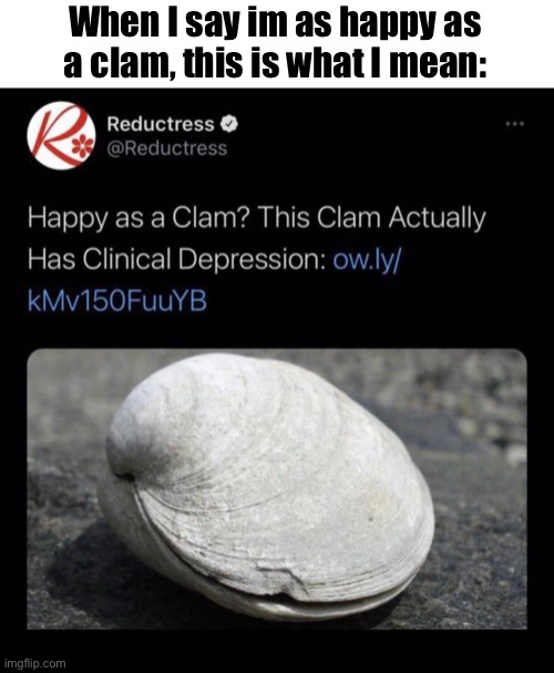 When I say im as happy as a clam, this is what I mean: | image tagged in memes | made w/ Imgflip meme maker