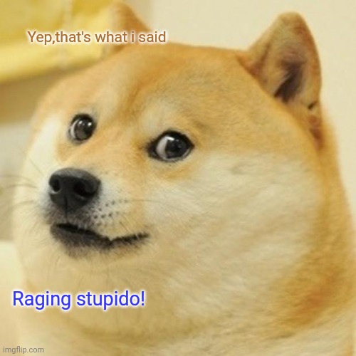 Doge Meme | Yep,that's what i said; Raging stupido! | image tagged in memes,doge | made w/ Imgflip meme maker