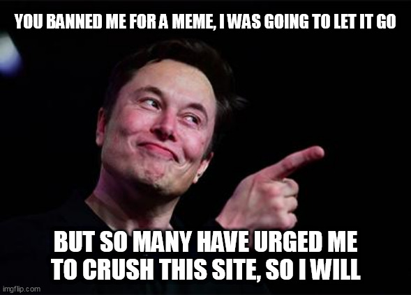 Elon musk | YOU BANNED ME FOR A MEME, I WAS GOING TO LET IT GO; BUT SO MANY HAVE URGED ME TO CRUSH THIS SITE, SO I WILL | image tagged in elon musk | made w/ Imgflip meme maker