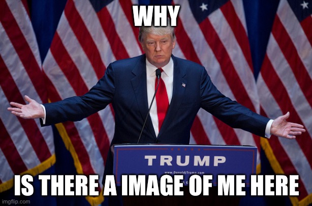 Donald trump | WHY; IS THERE A IMAGE OF ME HERE | image tagged in donald trump | made w/ Imgflip meme maker