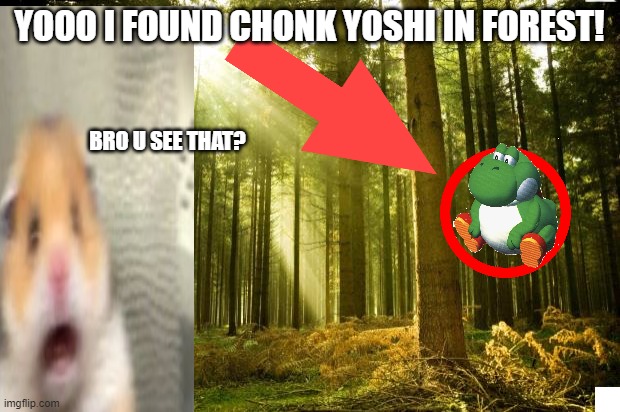 Chonk yoshi in the forest sighting! NOT CAP | YOOO I FOUND CHONK YOSHI IN FOREST! BRO U SEE THAT? | image tagged in sunlit forest | made w/ Imgflip meme maker