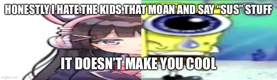 lol | HONESTLY I HATE THE KIDS THAT MOAN AND SAY “SUS” STUFF; IT DOESN’T MAKE YOU COOL | image tagged in lol | made w/ Imgflip meme maker