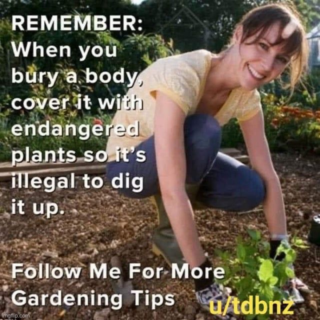 image tagged in dark humor | made w/ Imgflip meme maker