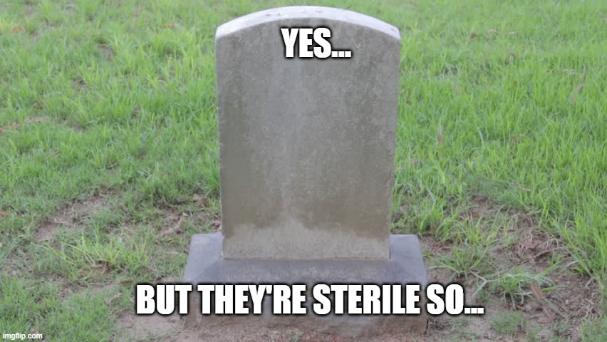 Blank Tombstone 001 | YES... BUT THEY'RE STERILE SO... | image tagged in blank tombstone 001 | made w/ Imgflip meme maker