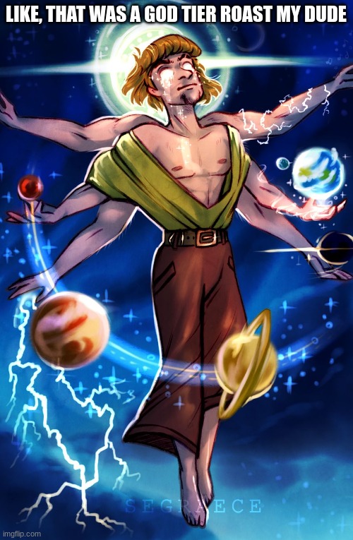 Shaggy 0% | LIKE, THAT WAS A GOD TIER ROAST MY DUDE | image tagged in shaggy 0 | made w/ Imgflip meme maker