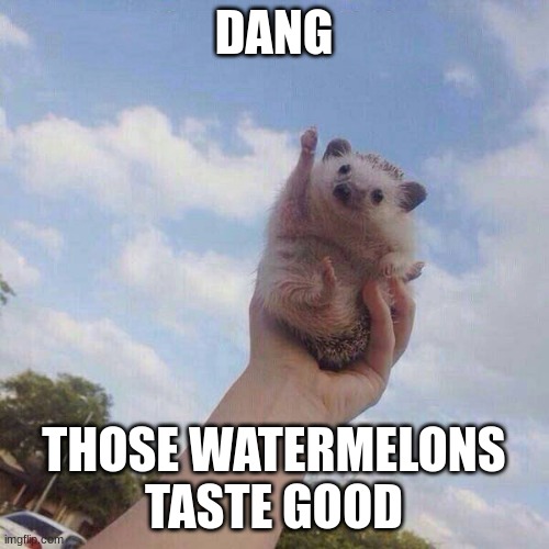 lets go | DANG THOSE WATERMELONS TASTE GOOD | image tagged in lets go | made w/ Imgflip meme maker